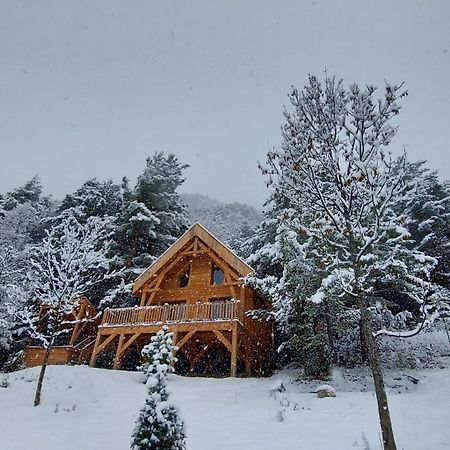 Chalet L'Empreinte Saint-Étienne-de-Tinée 외부 사진