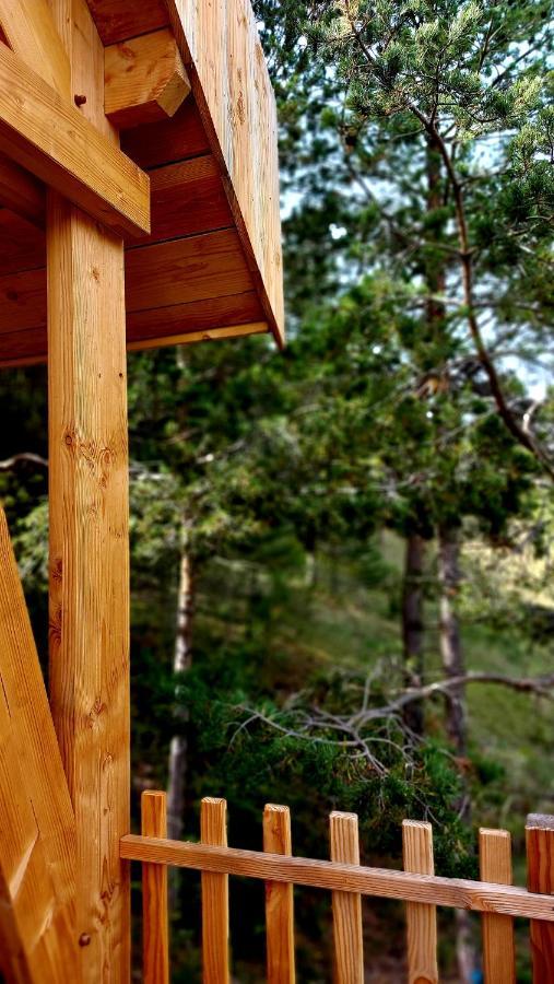 Chalet L'Empreinte Saint-Étienne-de-Tinée 외부 사진